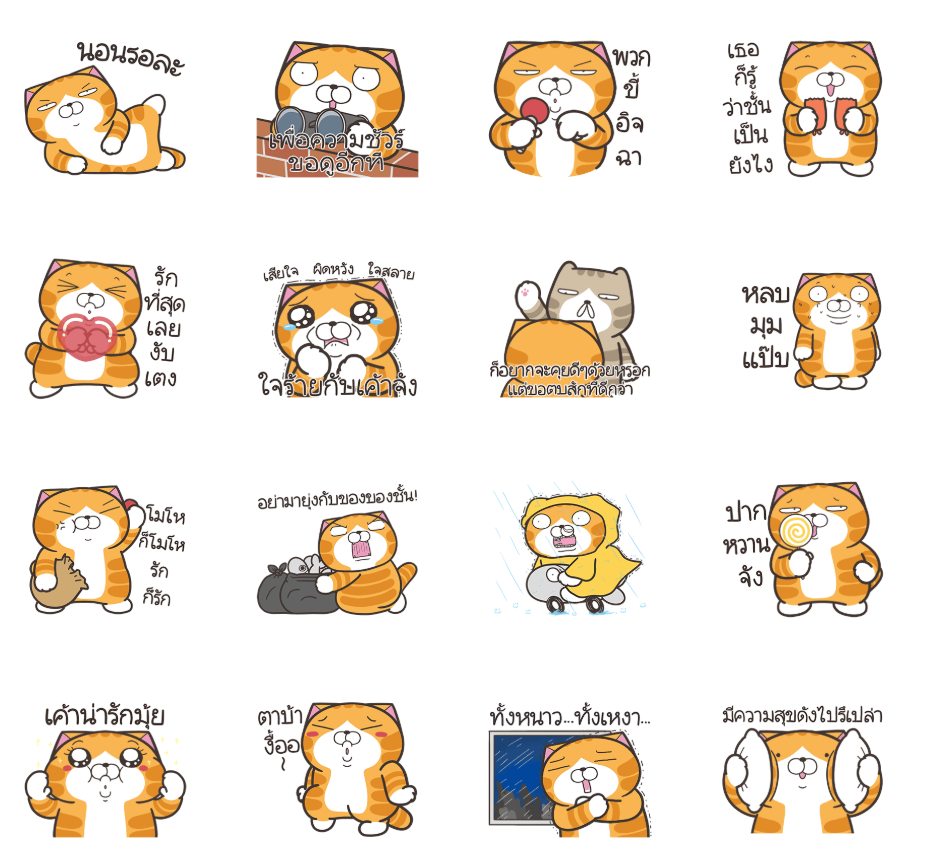 เหมียวซ่า ไอ้ต้าวน่ารัก